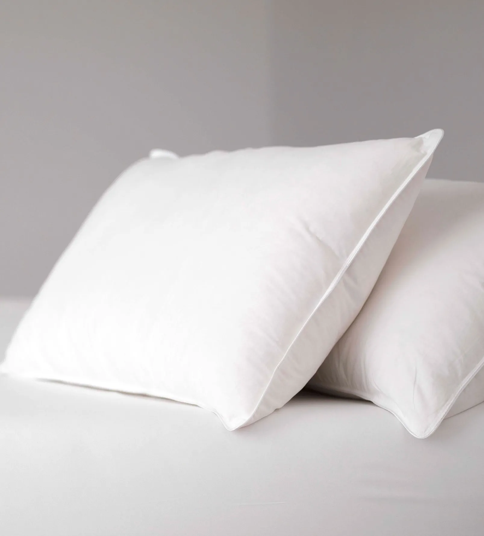 Dreamy Duck Pillow - European Duck Feather and Down