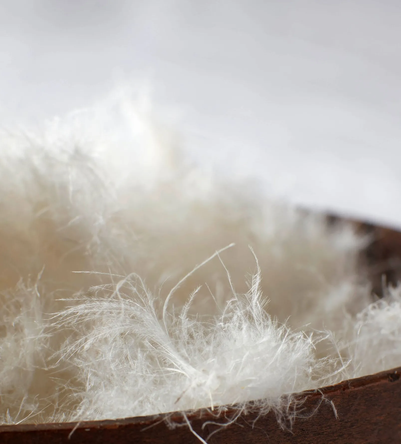 Dreamy Duck Pillow - European Duck Feather and Down