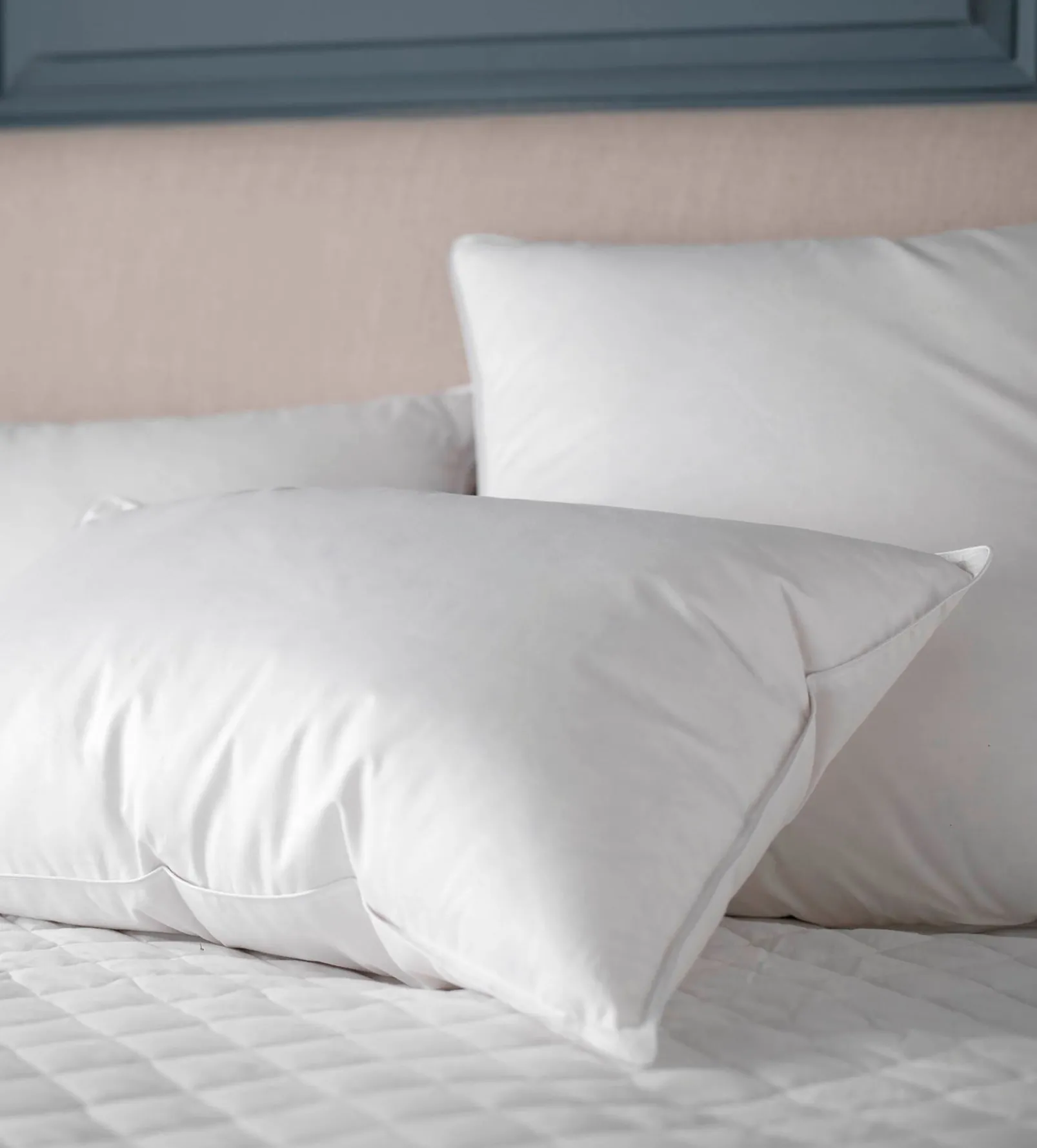 Good as Goose Pillow - Hollowfibre