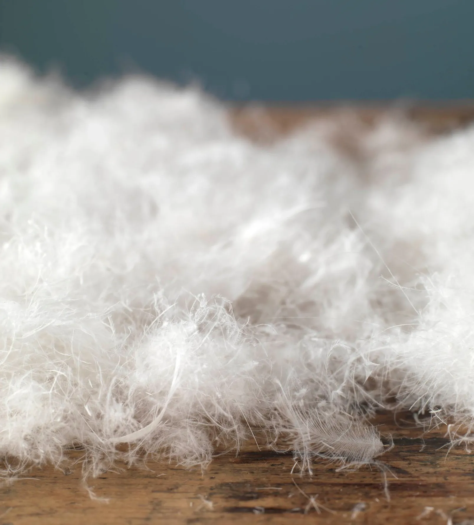 Gorgeous Goose Duvet - European Goose Down - Single