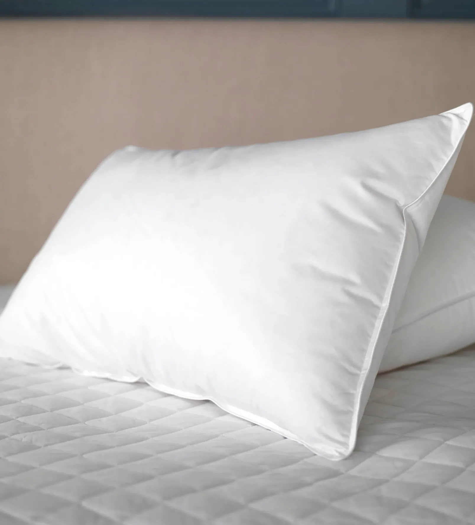 Gorgeous Goose Pillow - European Goose Down