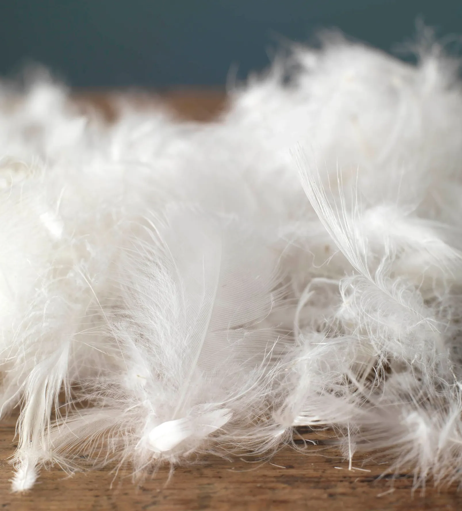 Great Goose Duvet - Hungarian Goose Feather & Down - Single