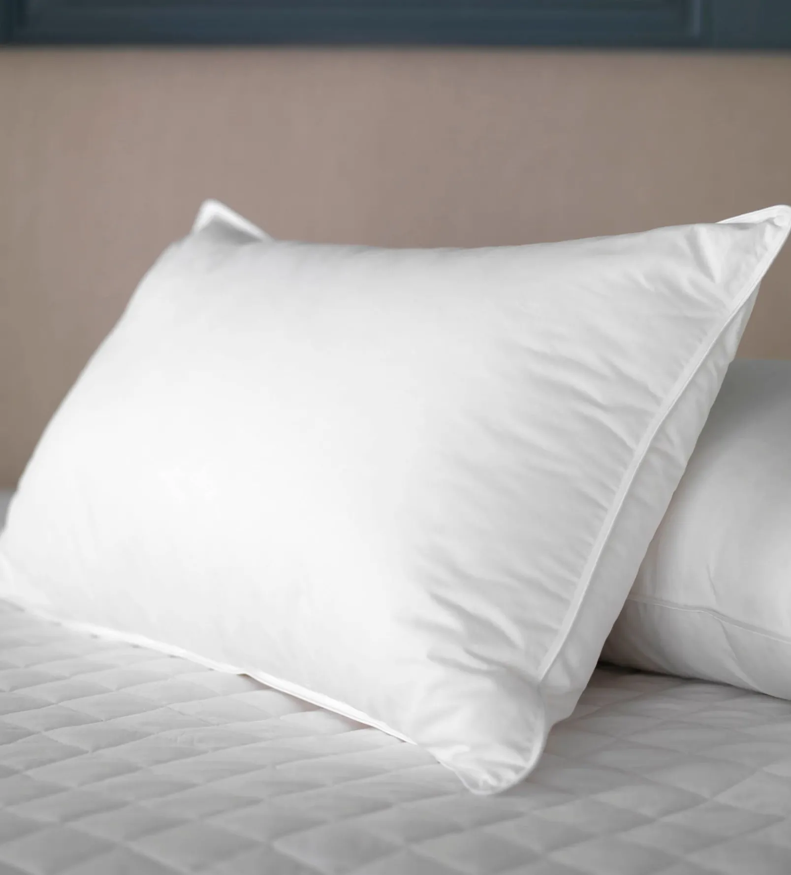 Great Goose Pillow - Hungarian Goose Feather & Down