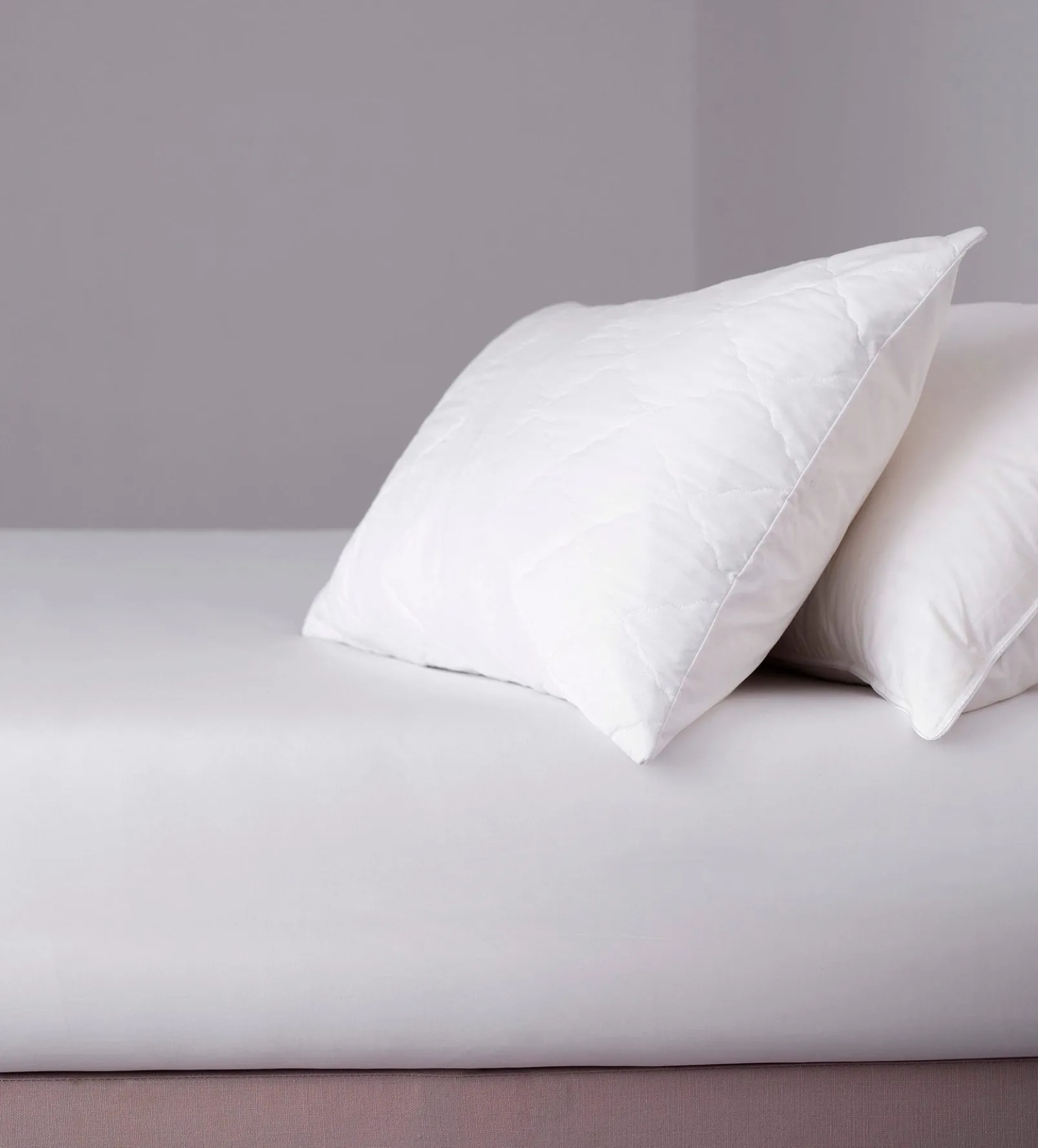 Safe and Sound Pillow Protector