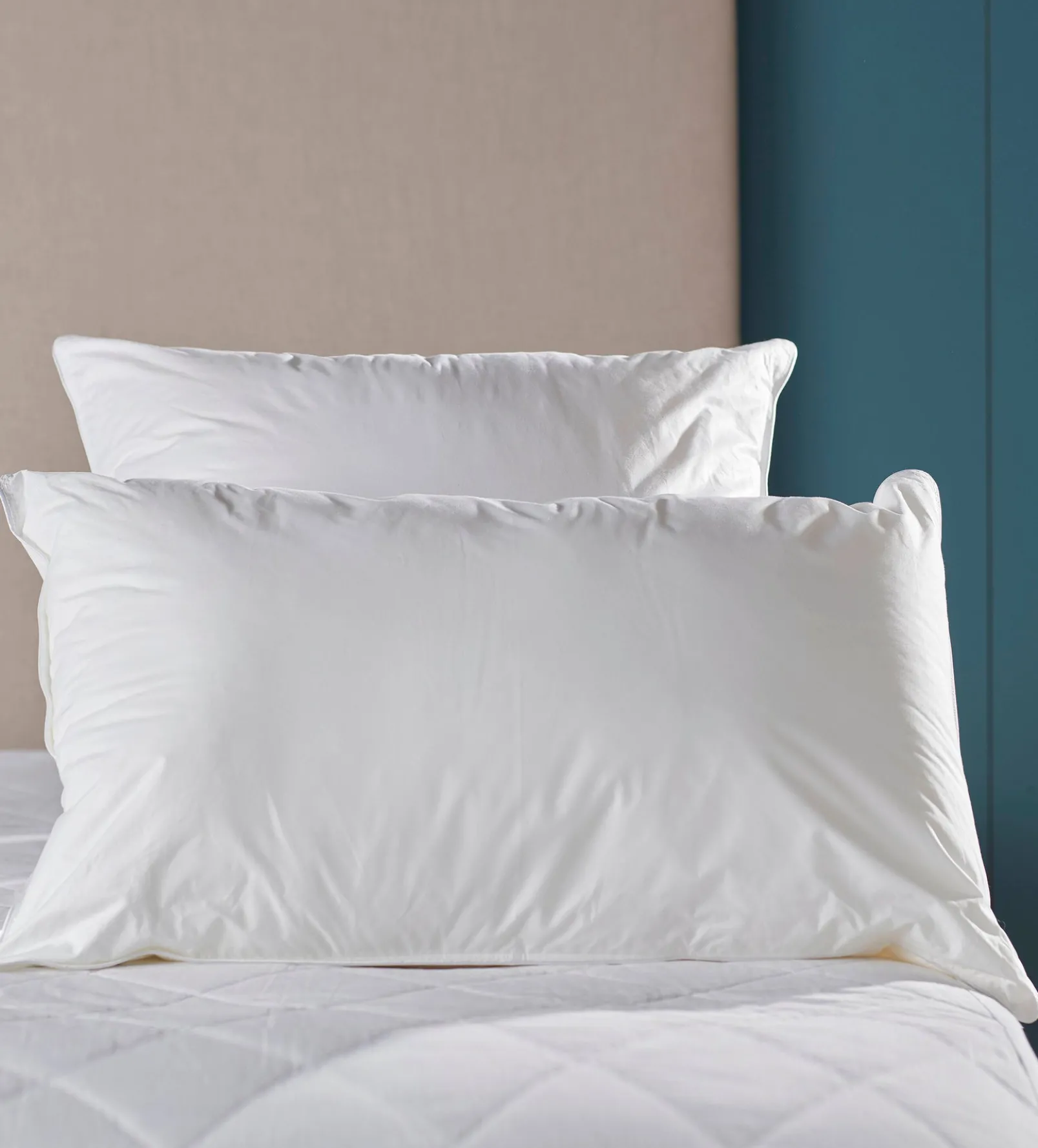 The Big Softie Pillow - Microfibre